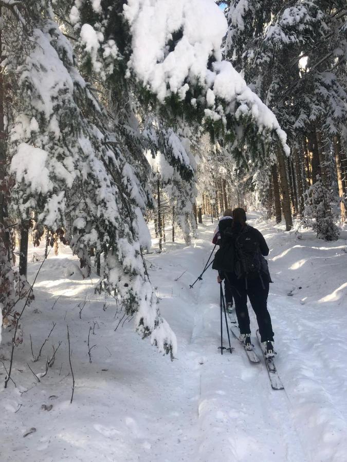 Ferienwohnung Elfi Tropolach Bagian luar foto
